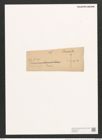 Pleurosigma tenuirostre Grun. (de-Toni-Nr.: Genus 13, Species 1061) Zeichnungen Sammlung Grunow (NHMW-BOT-W0369030)